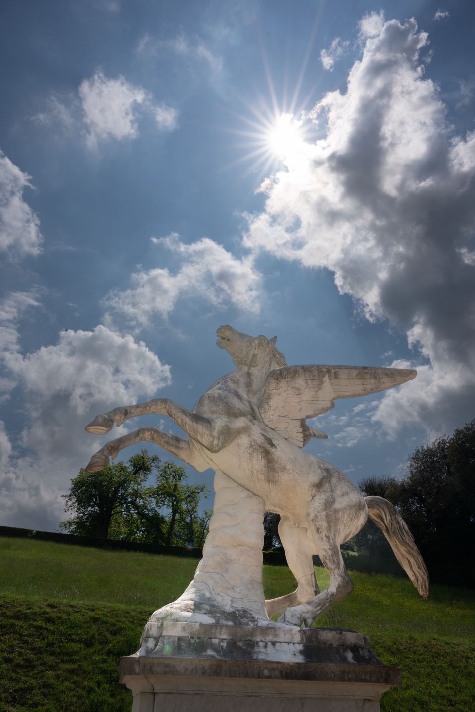 Pegasus