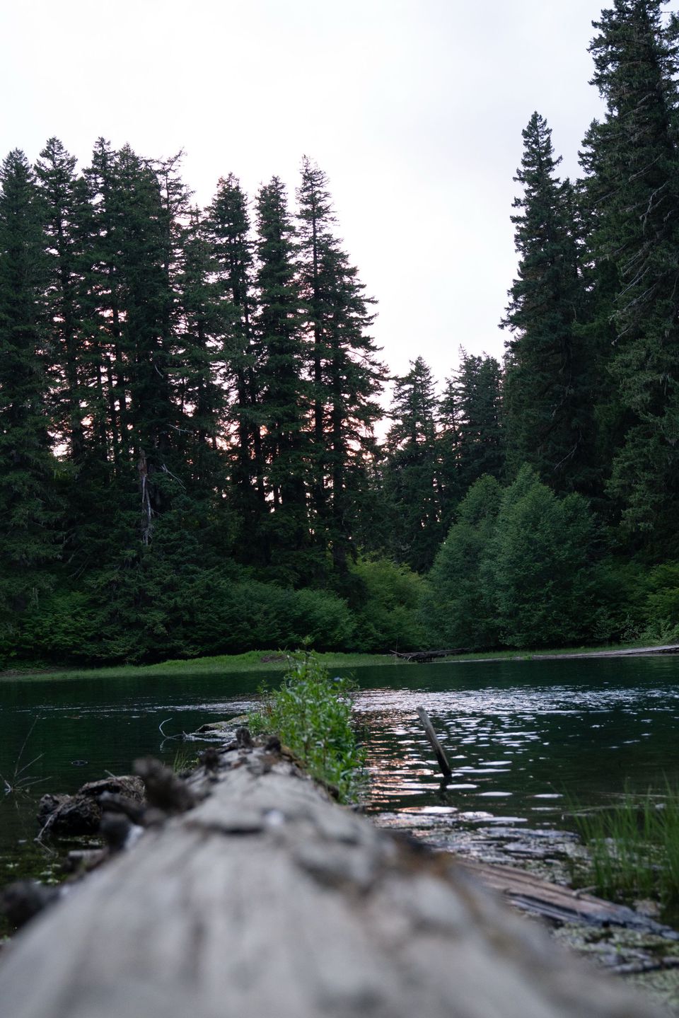 Landscapes — July 2020