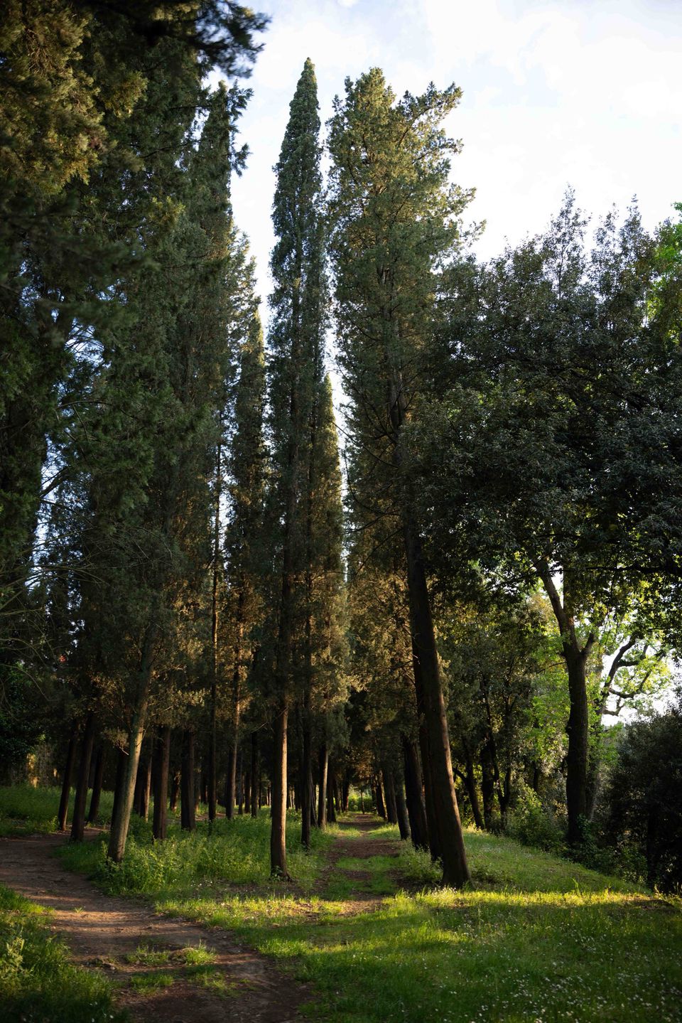 Florence
